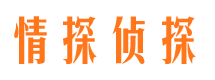 二道侦探